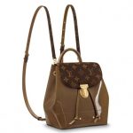 Knockoff Louis Vuitton fake LV Bronze Hot Springs Backpack M54389 BLV024. Celebrate the return of LV Vernis leather with this Hot Springs Mini-Backpack in patent leather and Monogram canvas. As cute as it is versatile