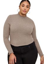 Cet automne-hiver, les femmes de taille supérieure portent un haut de chemise de base à manches longues et à encolure ras du cou en tissu confortable et élastique. Il s'agit d'une vente en gros de hauts sexy pour femmes de taille supérieure. Avec la montée progressive de la prise de conscience féministe