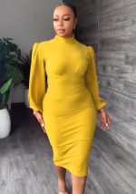 This Women Casual Long Sleeve Round Neck Slit Dress Design Made Of High Quality Polyster And Spandex Material. It Come With Good Stretch And Wearing Comfortable. Women¡¯s Midi Dresses Is Omnipotent And Suit For All Kinds Of Occasions - Daily Wear