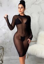 This Women Sexy Long Sleeve Mesh Bodycon Dress Design Made Of High Quality Polyster And Spandex Material