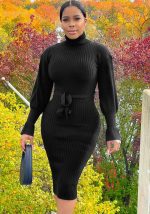 This Women Solid Ribbed High Neck Long Sleeve Dress With Belt Design Made Of High Quality Polyster And Spandex Material. It Come With Good Stretch And Wearing Comfortable. Women¡¯s Midi Dresses Is Omnipotent And Suit For All Kinds Of Occasions - Daily Wear