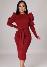 This Women's Long Sleeve Dress Autumn Chic Slim Dress Design Made Of High Quality Polyster And Spandex Material. It Come With Good Stretch And Wearing Comfortable. Women¡¯s Midi Dresses Is Omnipotent And Suit For All Kinds Of Occasions - Daily Wear