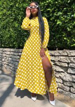 This Women's Spring And Winter Round Neck Polka Dot Long Sleeve High Slit Midi Dress Design Made Of High Quality Polyster And Spandex Material. It Come With Good Stretch And Wearing Comfortable. Women¡¯s Midi Dresses Is Omnipotent And Suit For All Kinds Of Occasions - Daily Wear