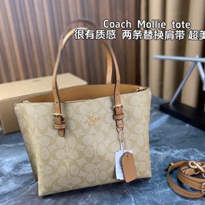 Coach Tote El bolso tote fino de piel es perfecto para el colegio