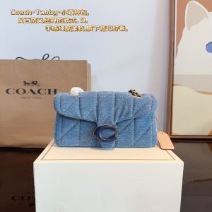 Coach pillow bag