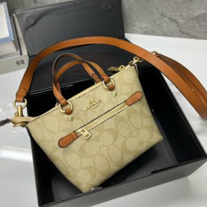 Viene fornito con scatola pieghevole Coach mini sacchetto carino gnocco borsa