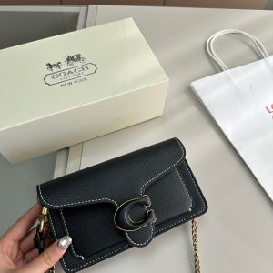 coach Dionysus bag