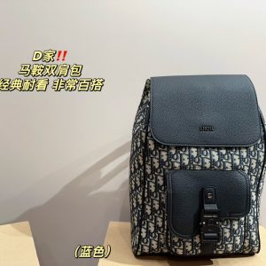 Dior saddle backpack