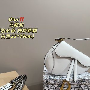 Dior saddle bag