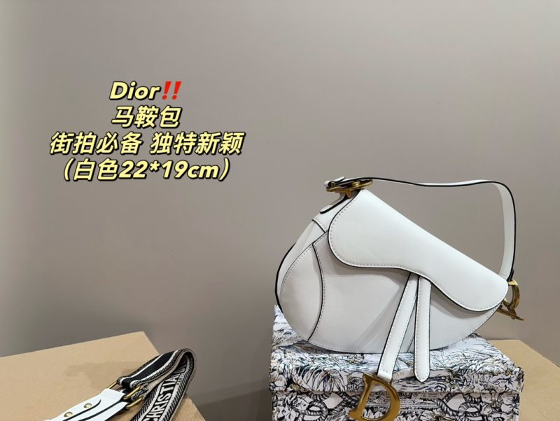 Dior saddle bag