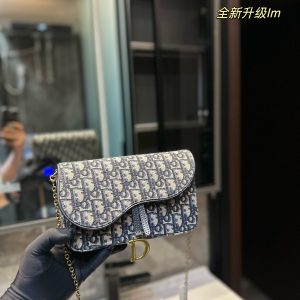 Dior saddle chain bag. Mobile phone bag