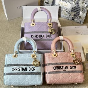 Dior Lady D-Lite embroidered bag star style