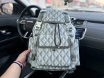 "Door/Dior" backpack 's gray special lining