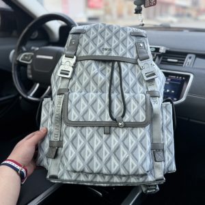 "Door/Dior" backpack 's gray special lining