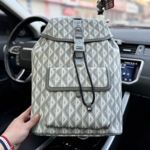 "Door/Dior" backpack 's gray special lining