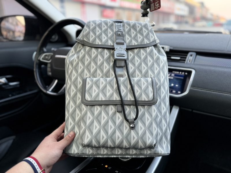 "Door/Dior" backpack 's gray special lining