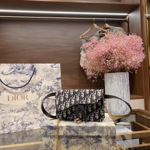 DIOR/Dior new women's canvas printed logo Dior baby and other stars have the same unique and novel design style counter commemorative waist bag 's Dior new style bag unique switch design classic logo So stylish