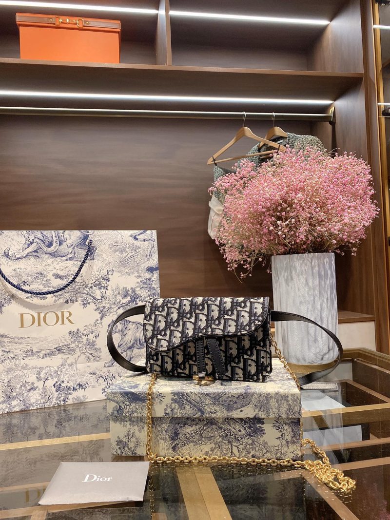 DIOR/Dior new women's canvas printed logo Dior baby and other stars have the same unique and novel design style counter commemorative waist bag 's Dior new style bag unique switch design classic logo So stylish