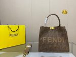 fendi presbyopia handbag