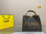 fendi presbyopia handbag