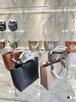 The Loewe commuter tote bag that will give you a “pay raise”!