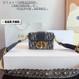 Replica Dior Bag | Handbag