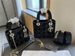 Replica Dior Bag | Handbag