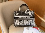 Replica Dior Bag | Handbag