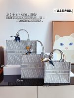 Replica Dior Bag | Handbag