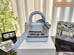 Replica Dior Bag | Handbag