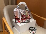 Replica Dior Bag | Handbag